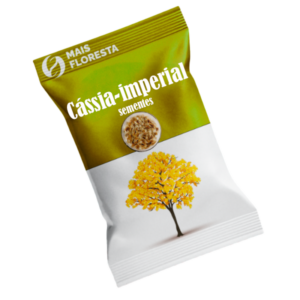 Semente de Cássia Imperial / Chuva de Ouro (Cássia fístula) - Mais Floresta