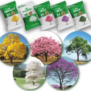 Sementes de Ipê - Amarelo, Roxo, Rosa, Branco e Verde