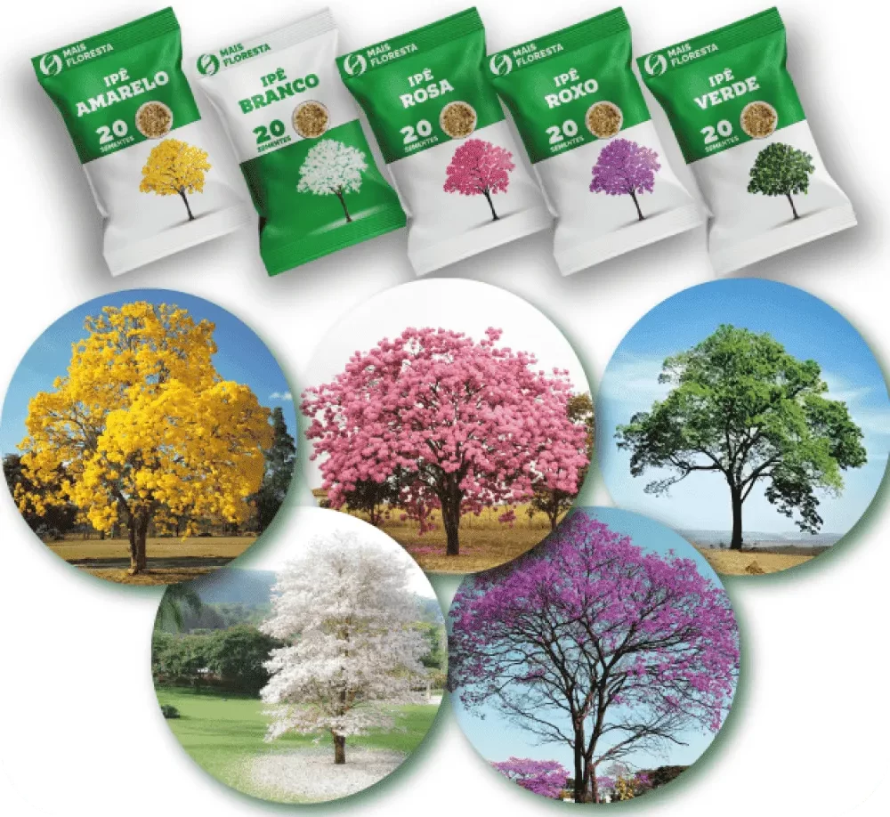 Sementes de Ipê - Amarelo, Roxo, Rosa, Branco e Verde