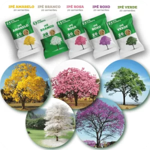 kit_mix_100_sementes_de_ipes_5_cores_cultive_a_arvore_mais_apreciada_entre_os_brasileiros_e_ajude_co_9_1_9bbf2a1f210e43ea2ef796fad3104969.webp